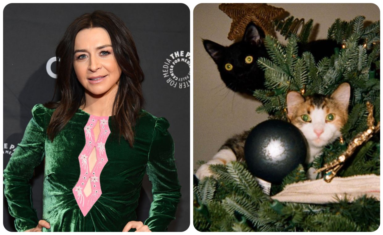 'Grey's Anatomy' actor Caterina Scorsone recounts escape from tragic house fire - Vimarsana News