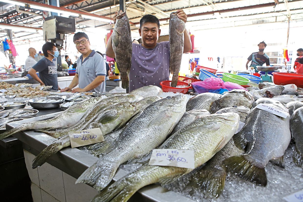 If you need an Insta-worthy moment, you might find friendly fishmongers more than ready to show off their catch of the day at Cecil Street Market. — CHAN BOON KAI/The Star