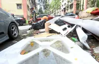 ‘Look beyond fogging to control dengue spread’