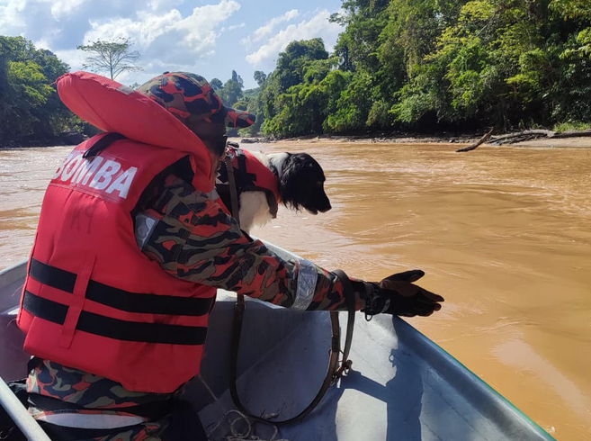 Villager falls into river while assisting search operation in Sapulut - Vimarsana News