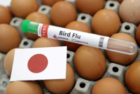 Eggs off some menus in Japan as country hit by bird flu and egg shortage