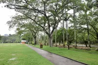 Federal Court to deliver decision in Taman Rimba Kiara review on April 18