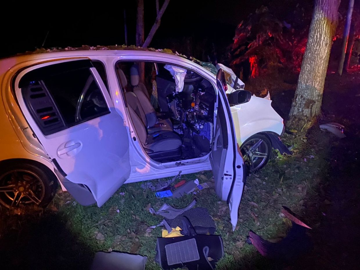 Two dead, one hurt after car hits tree in Alor Gajah | The Star
