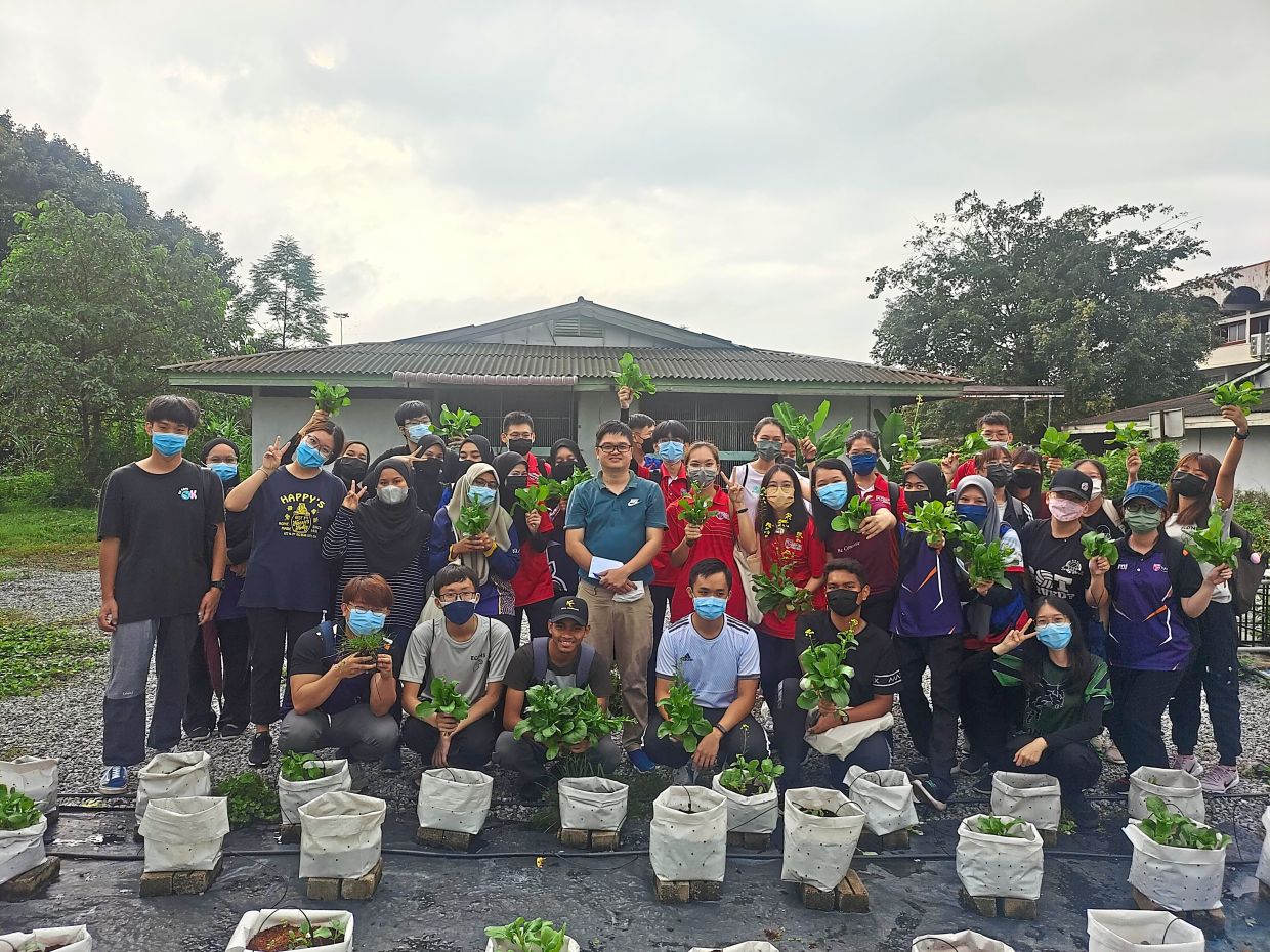 Students at Universiti Putra Malaysia are taught the correct method of fertigation using soluble fertilisers (chemical fertilisers) to grow their vegetables.