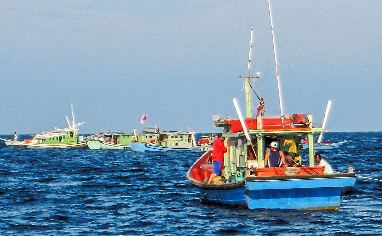 There are many fishing boats offering candat sotong activities on the east coast during this season.