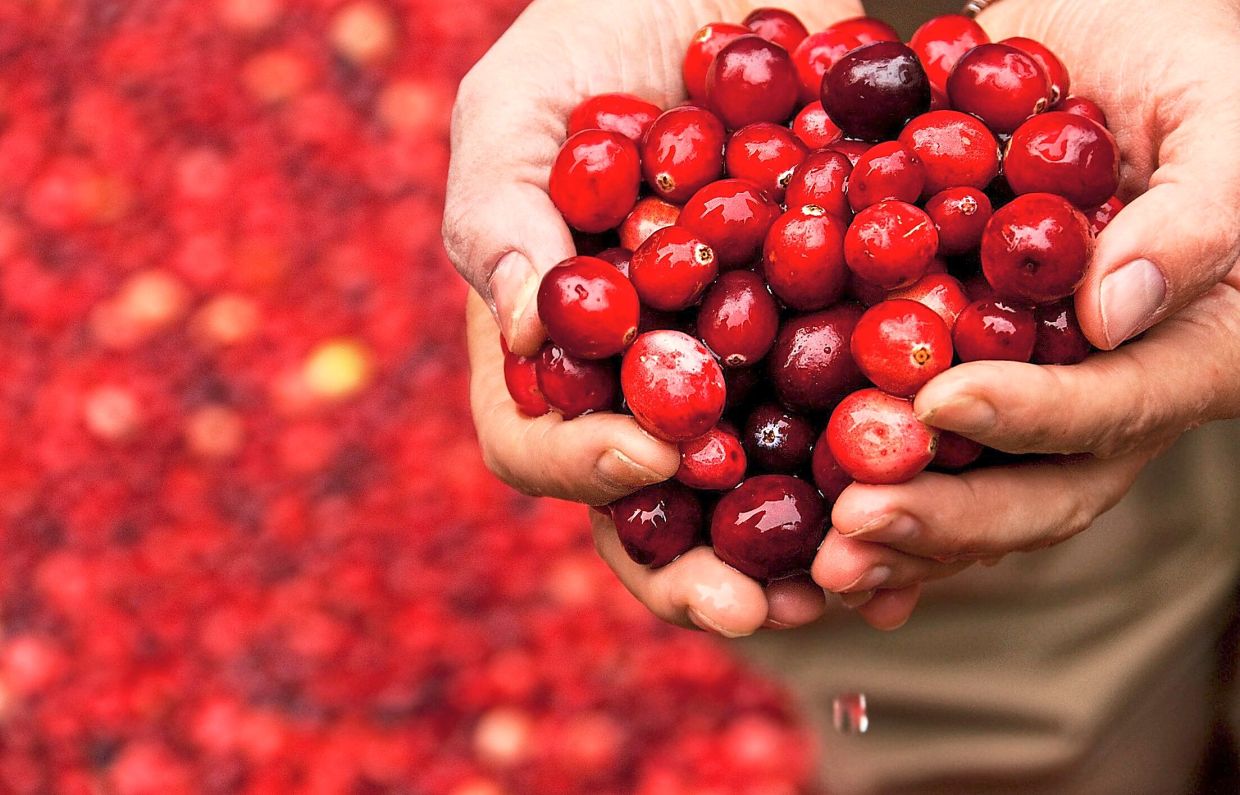 Cranberries, a natural remedy that helps prevent UTIs The Star