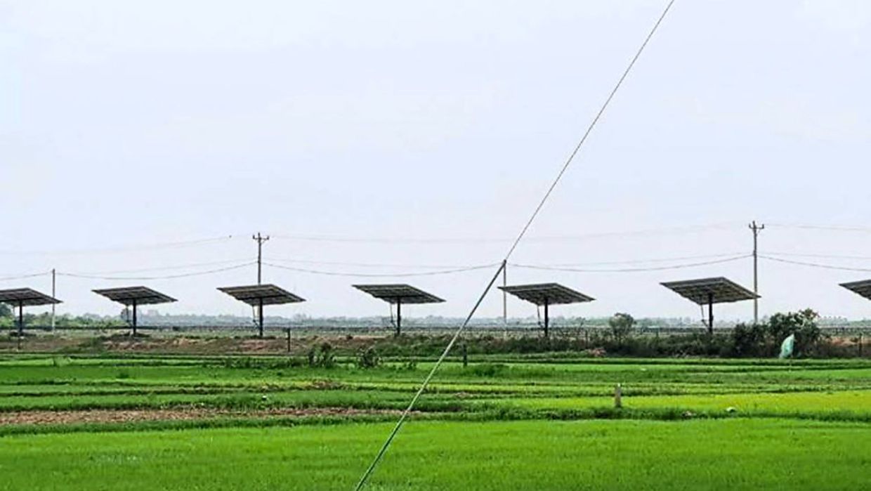 Ministry eyes solar irrigation solution for better profits - Vimarsana News