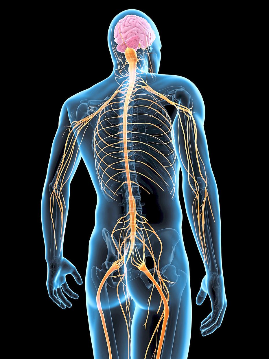 Interventional therapies include blocking nerves so that the pain sensation is not felt by the patient. — 123rf.com