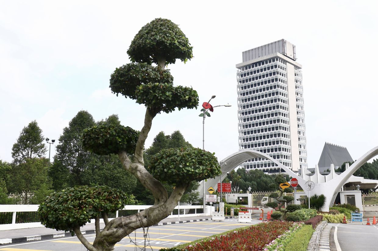 Weekend for the arts: open day at the Parliament, haze exhibition at REXKL - Vimarsana News