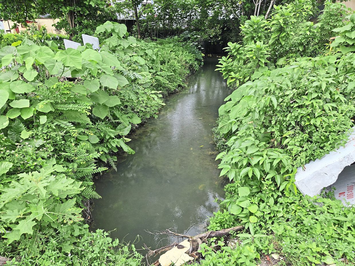 New drainage system in Bukit Gasing to address flash floods - Vimarsana News