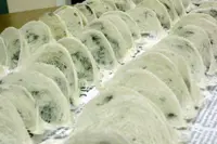 Legitimate bird's nest traders in Sarawak affected by SFC crackdown, claims trader