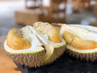 QuickCheck: Do durians appear in AAA video games?