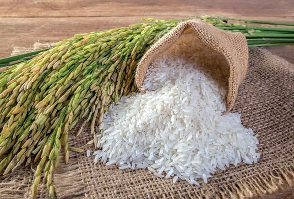 Vietnam govt to supply rice to Philippines for long term and at