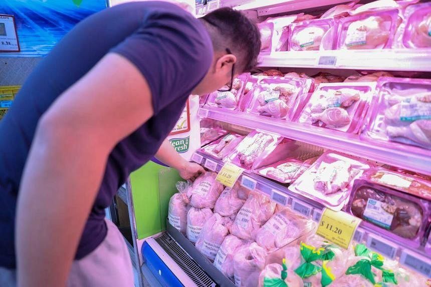 Singapore begins importing live broiler chickens from Indonesia - Vimarsana News