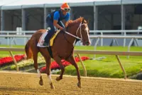 Horse racing-Derby winner Mage enters Preakness Stakes as the horse to beat