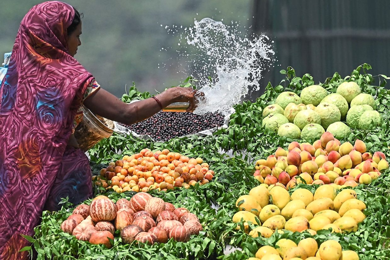 Heat insurance offers vital lifeline The Star