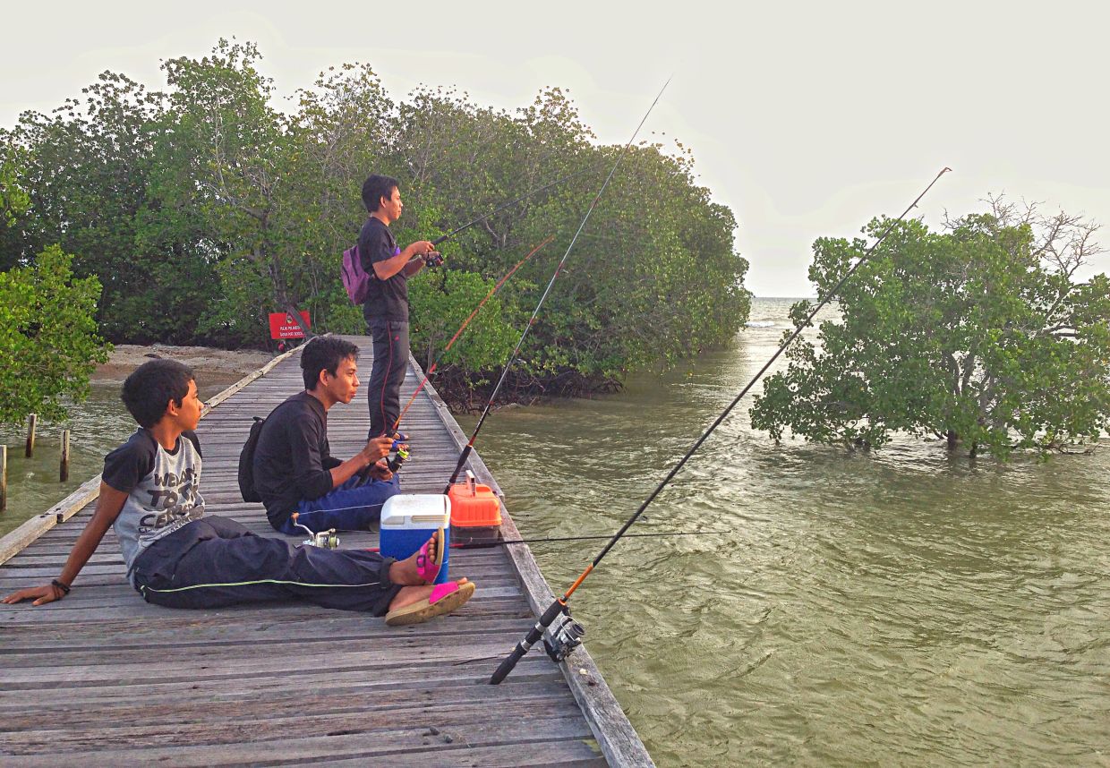 Aside from pond fishing, young anglers can also try shore fishing but such outgoing can be more challenging.