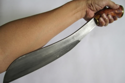 QuickCheck: Did a Penang man run amok over a 'grass-cutting' fee?