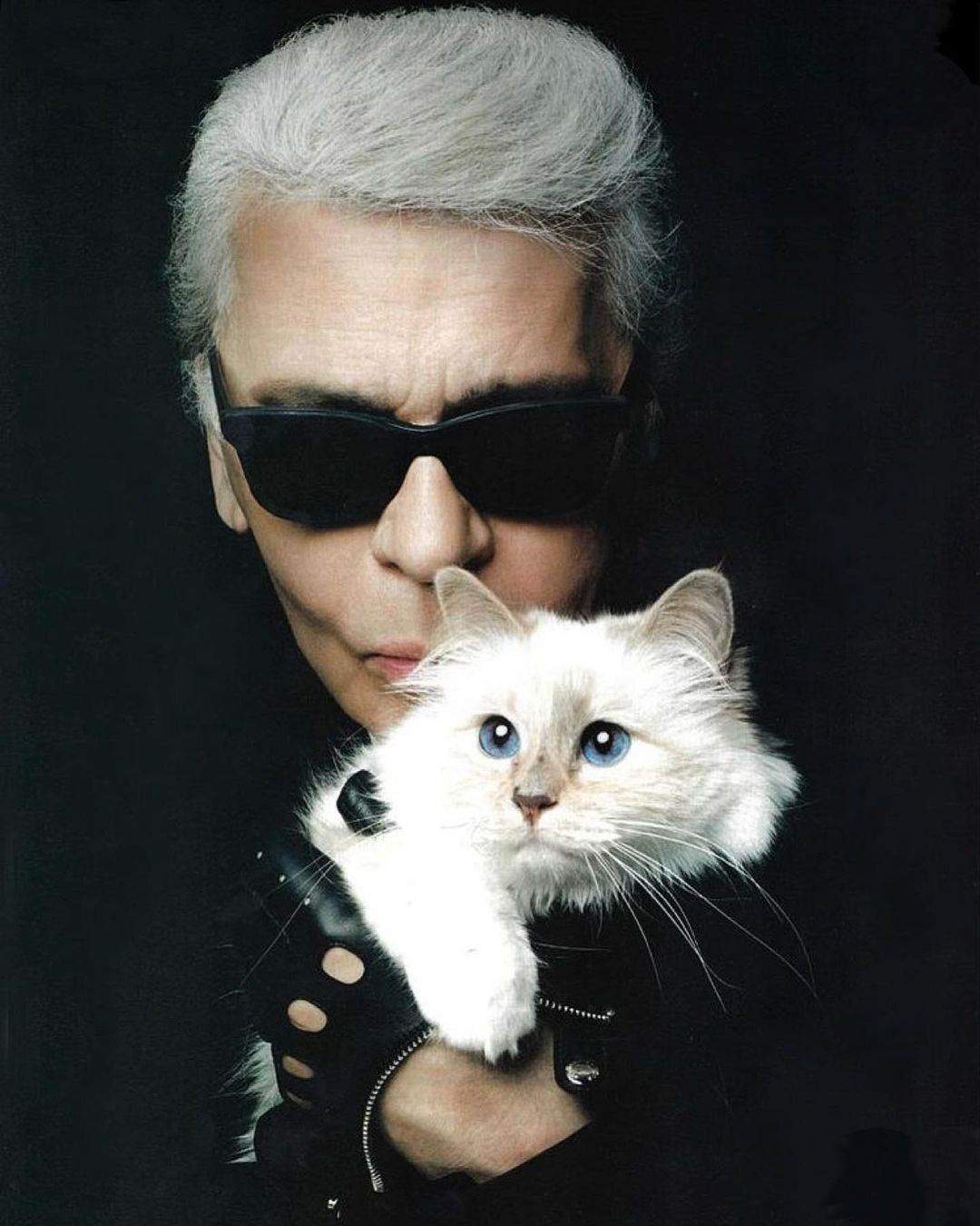Karl Lagerfeld's cat is probably the most famous pet at the moment. Photo: Instagram/Choupette
