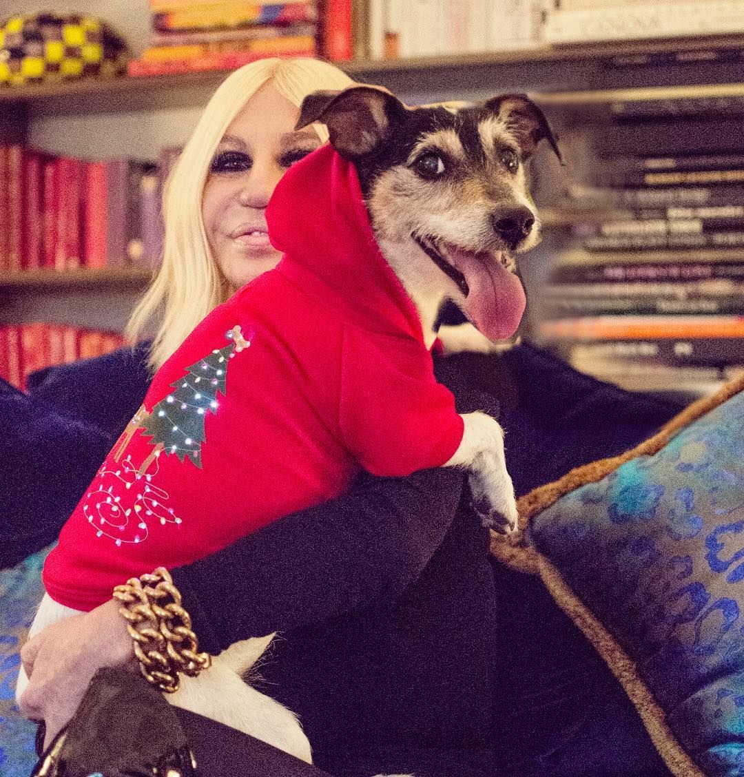 Donatella Versace has been seen parading her dog around. Photo: Instagram//Audrey