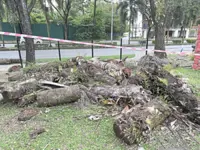 Alam Damai park looks abandoned