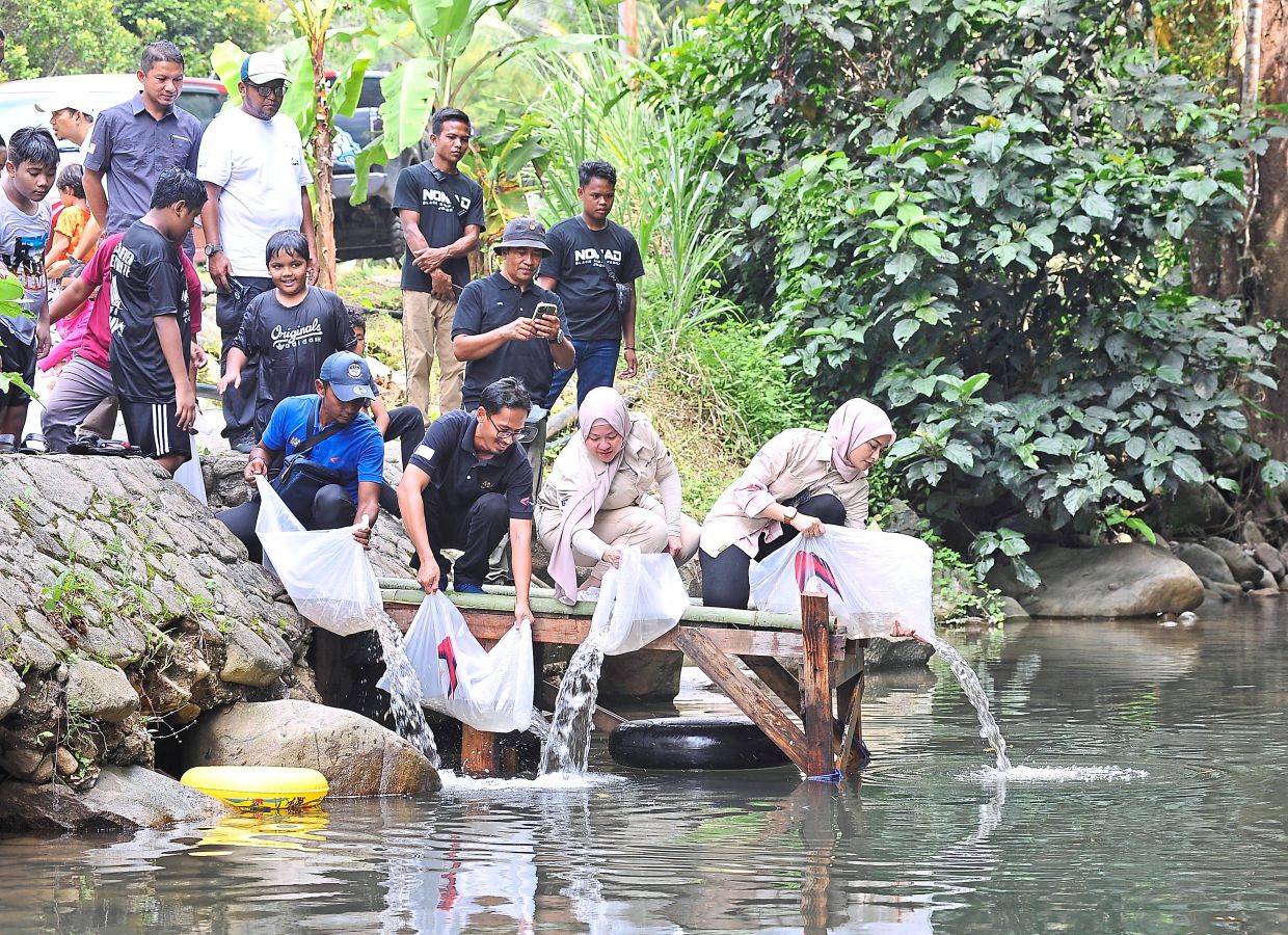 (From right) Young Syefura, Salinawati and Mohd Nor releasing fish into the stream near the SIR campsite. — Courtesy photo