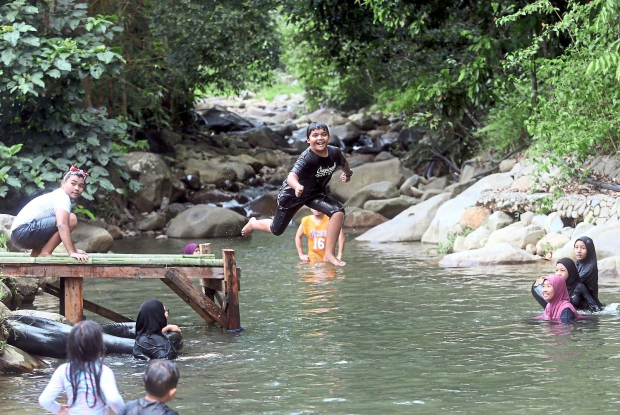 There is a stream located just outside the SIR campsite. — Courtesy photo