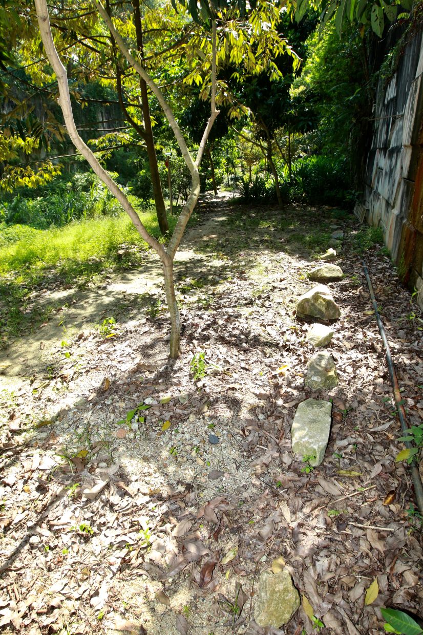 Yen even makes a little graveyard for animals, including roadkill, friends' pets and those found dead in the monsoon drain.