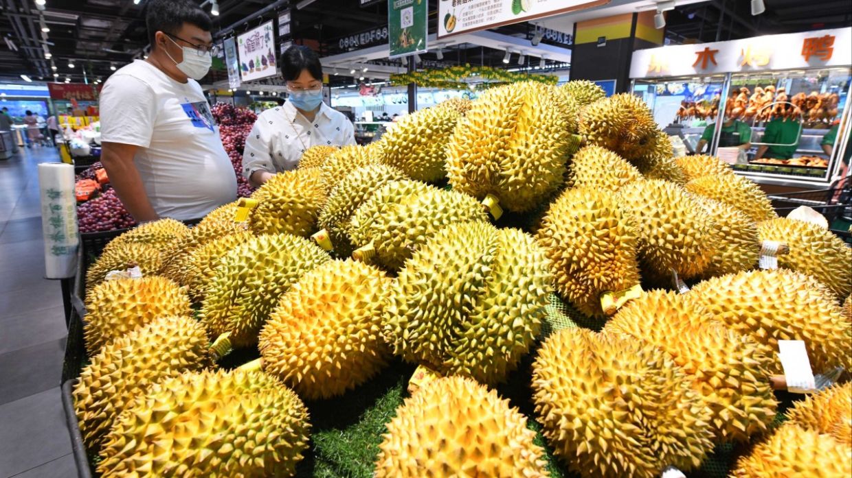Want to try China's first domestically grown durian? Better head to Hainan, or wait a few years | The Star