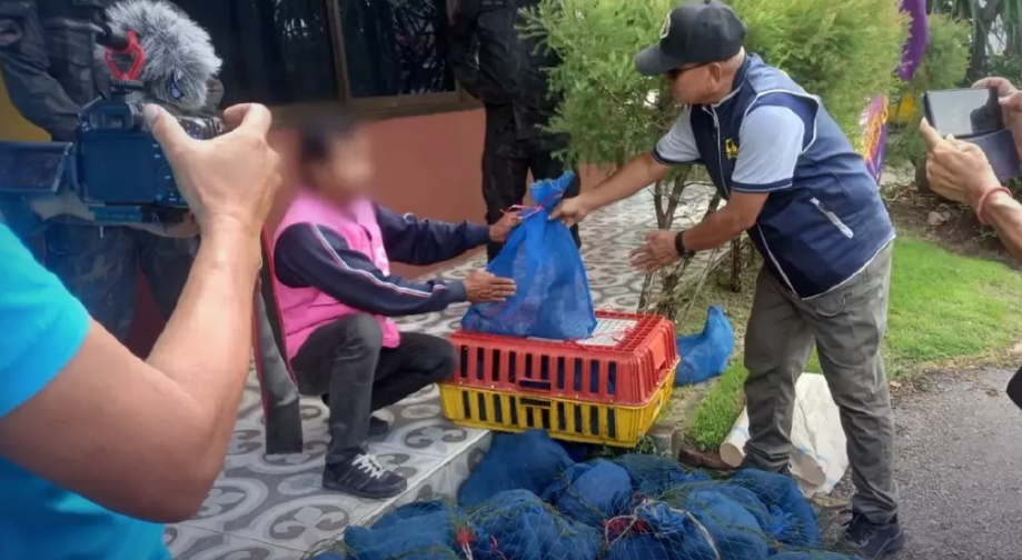 Two arrested as Thai cops foil another shipment of monkeys to Laos - Vimarsana News