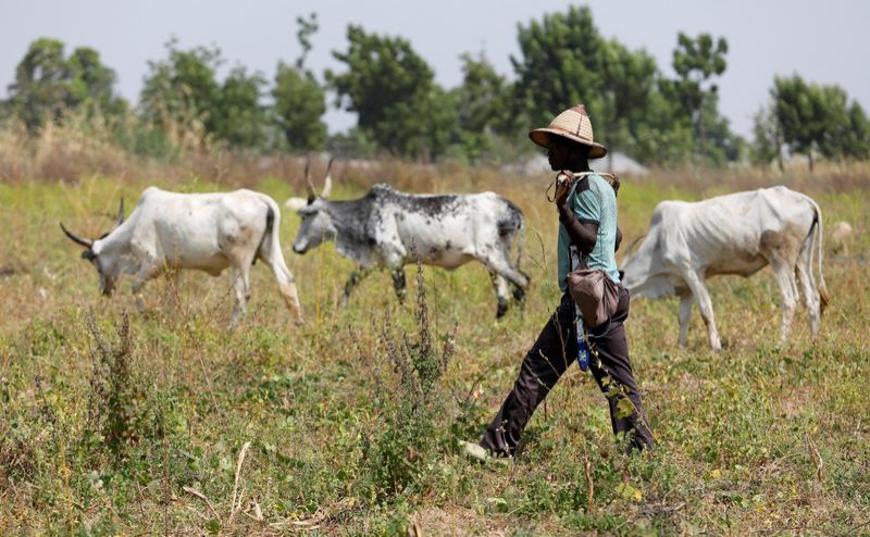 US urges Nigerian authorities to investigate air strike killing of herders - Vimarsana News