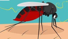 Sabah reports increase in malaria cases compared to same period in 2022 - Vimarsana News