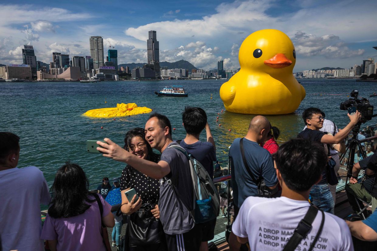 Giant rubber duck no match for Hong Kong's baking heat The Star