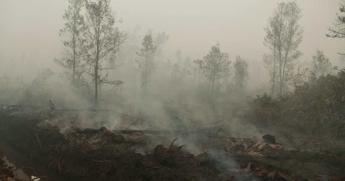 Brunei makes call for regional cooperation to tackle transboundary haze - Vimarsana News