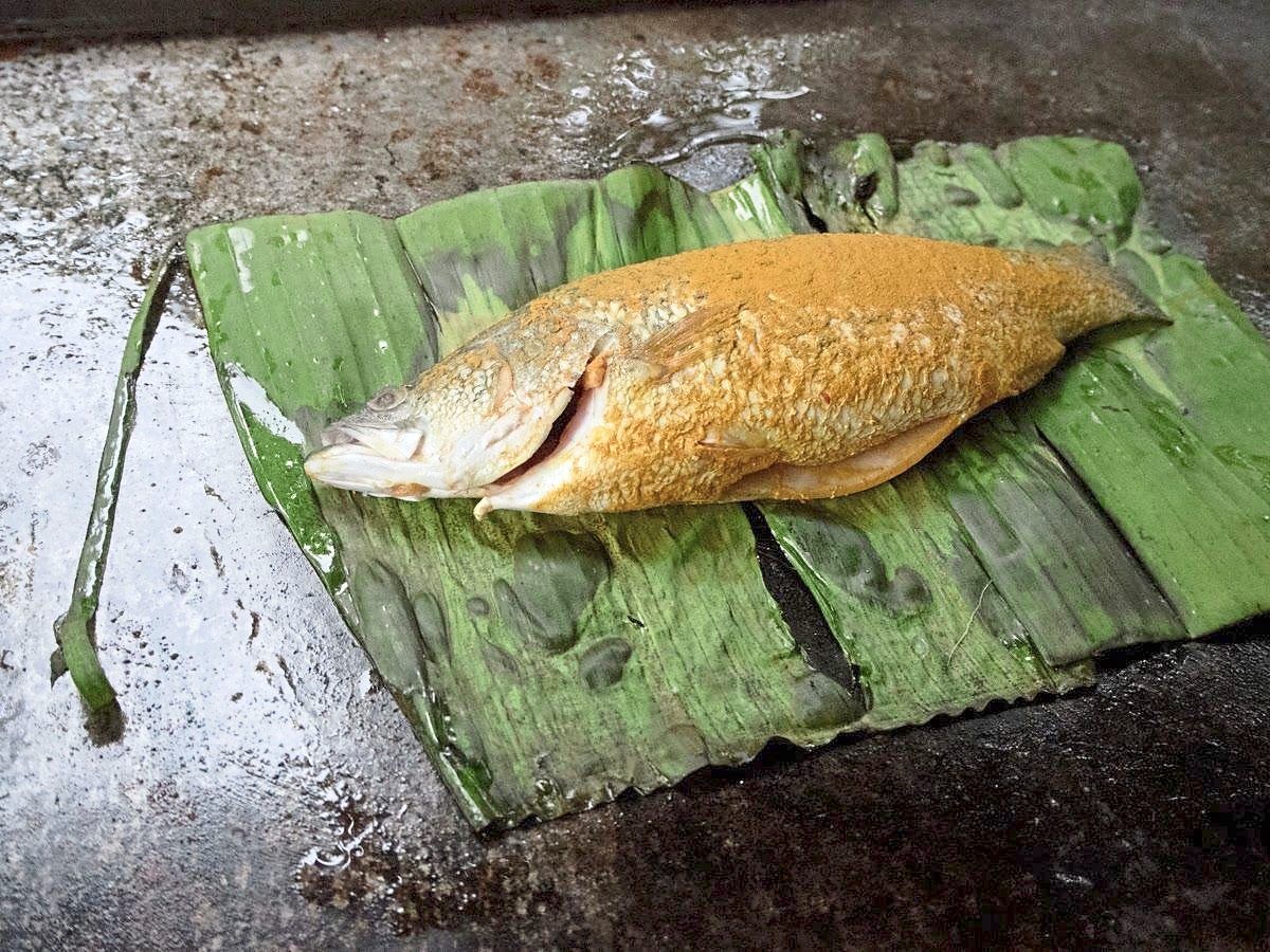 Grilled fish | The Star
