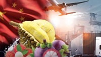 Thai durian still king in China as hunger for Thailand's fruit keeps rising