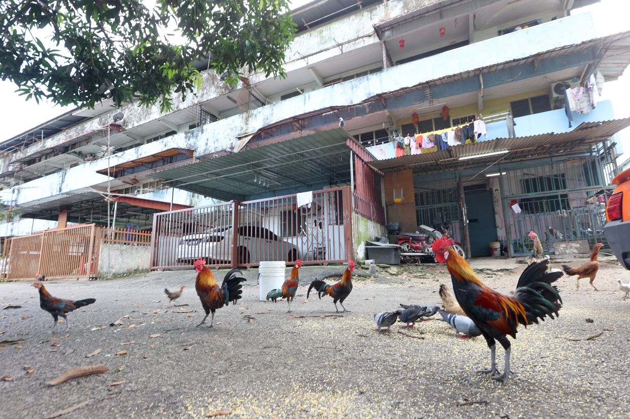 Impasse on illegal flat extensions - Vimarsana News