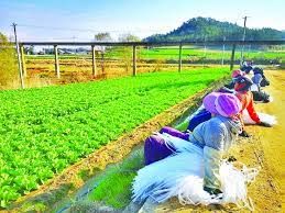 More Lao nationals to work in S. Korea farming, fishery - Vimarsana News
