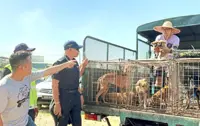 Ipoh council and ISPCA working together to deal with stray dog issue