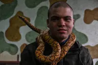 Fancy a reptile as your therapy buddy?