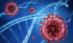 Health Minister: Decision on Covid-19 endemic phase after Cabinet presentation