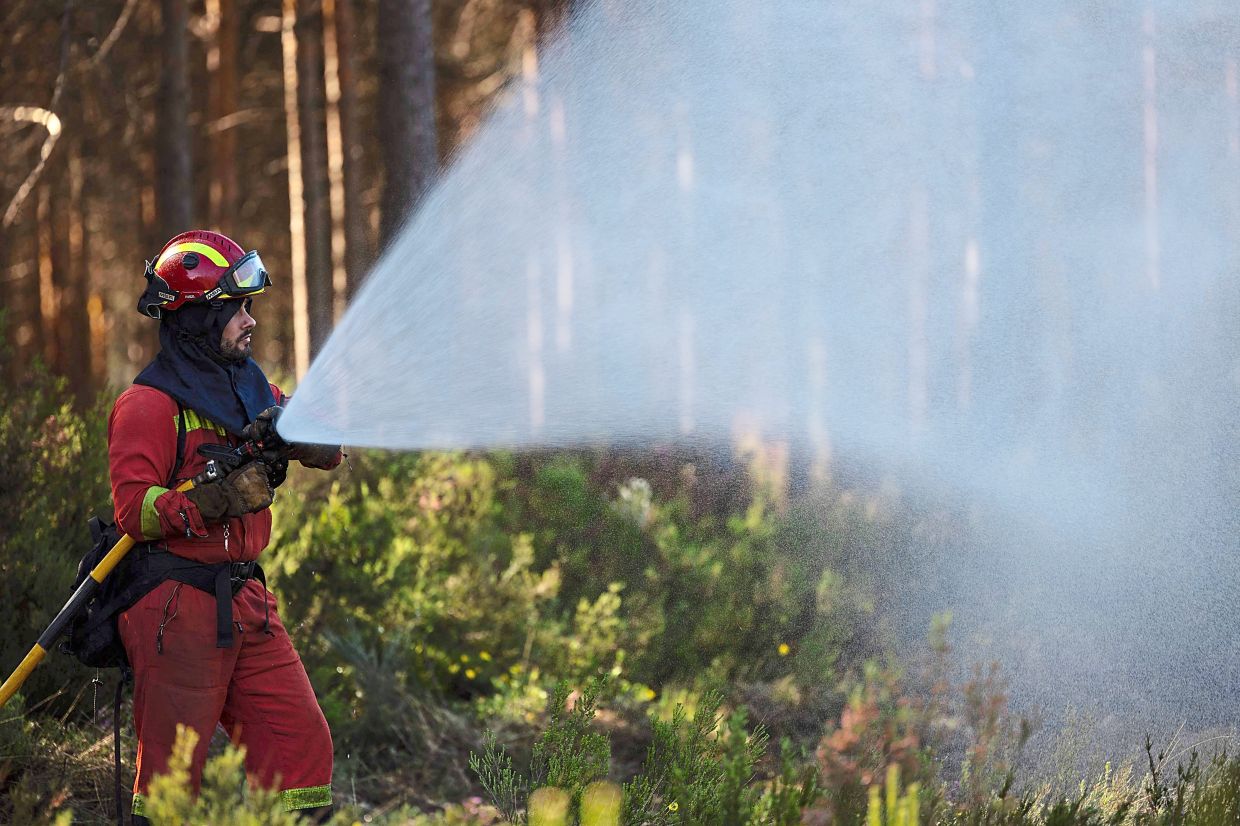 Wildfires sweeping across the globe - Vimarsana News