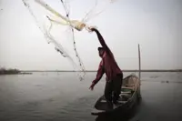 Cambodian govt calls for crackdown on fisheries crimes; over fishing depleting food resources, says minister