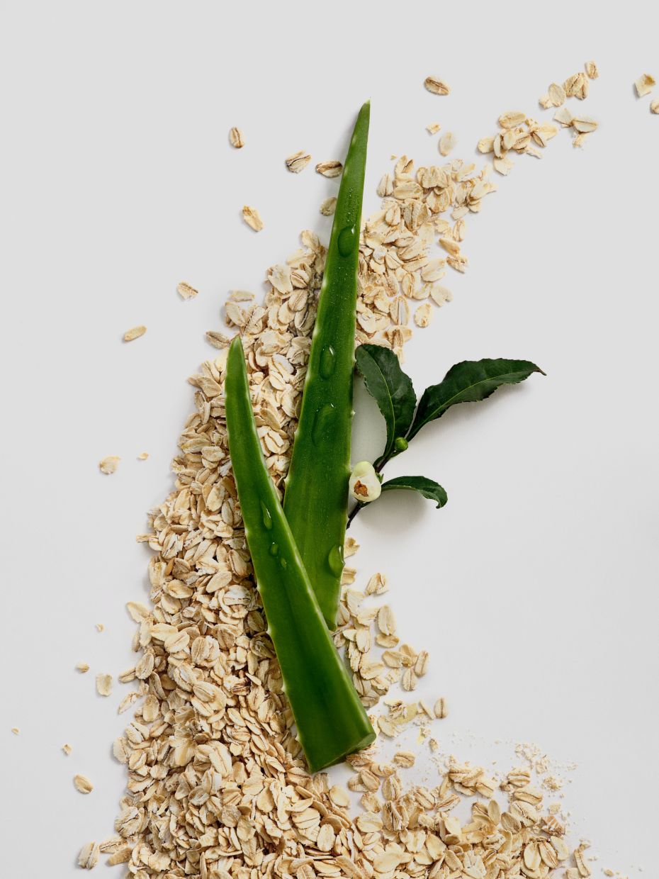 Bar shampoos have also proven to be gentler on hair, as many contain essential oils and natural ingredients and are cruelty free. Photo: Briogeo