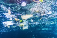 QuickCheck: Is there a 'garbage island' bigger than Texas in the Pacific Ocean?
