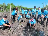 Volunteers from carmaker plant 1,700 saplings at   Kuala Selangor Nature Park
