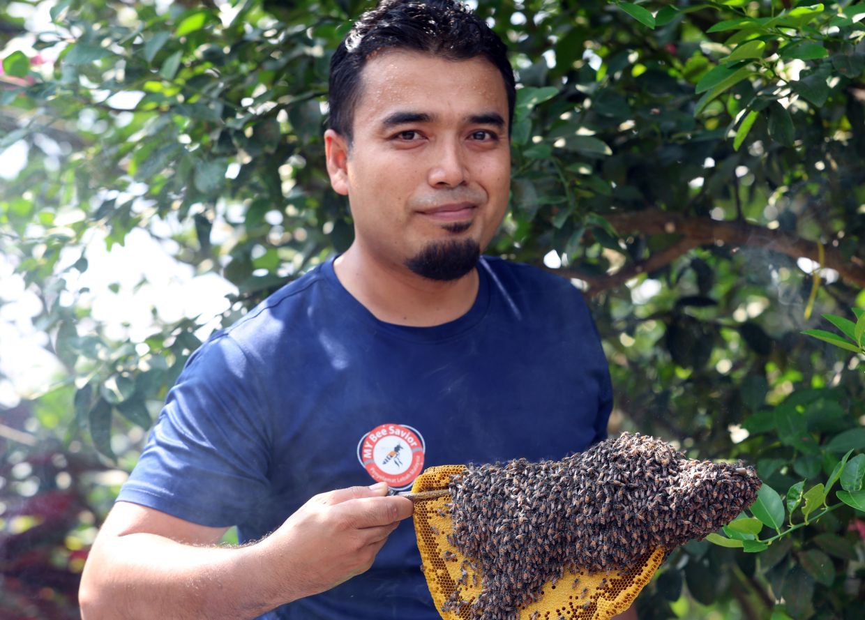 Abuzz with passion: Let's bee friends - Vimarsana News