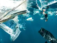 Microplastics: An invisible threat to our environment and waters