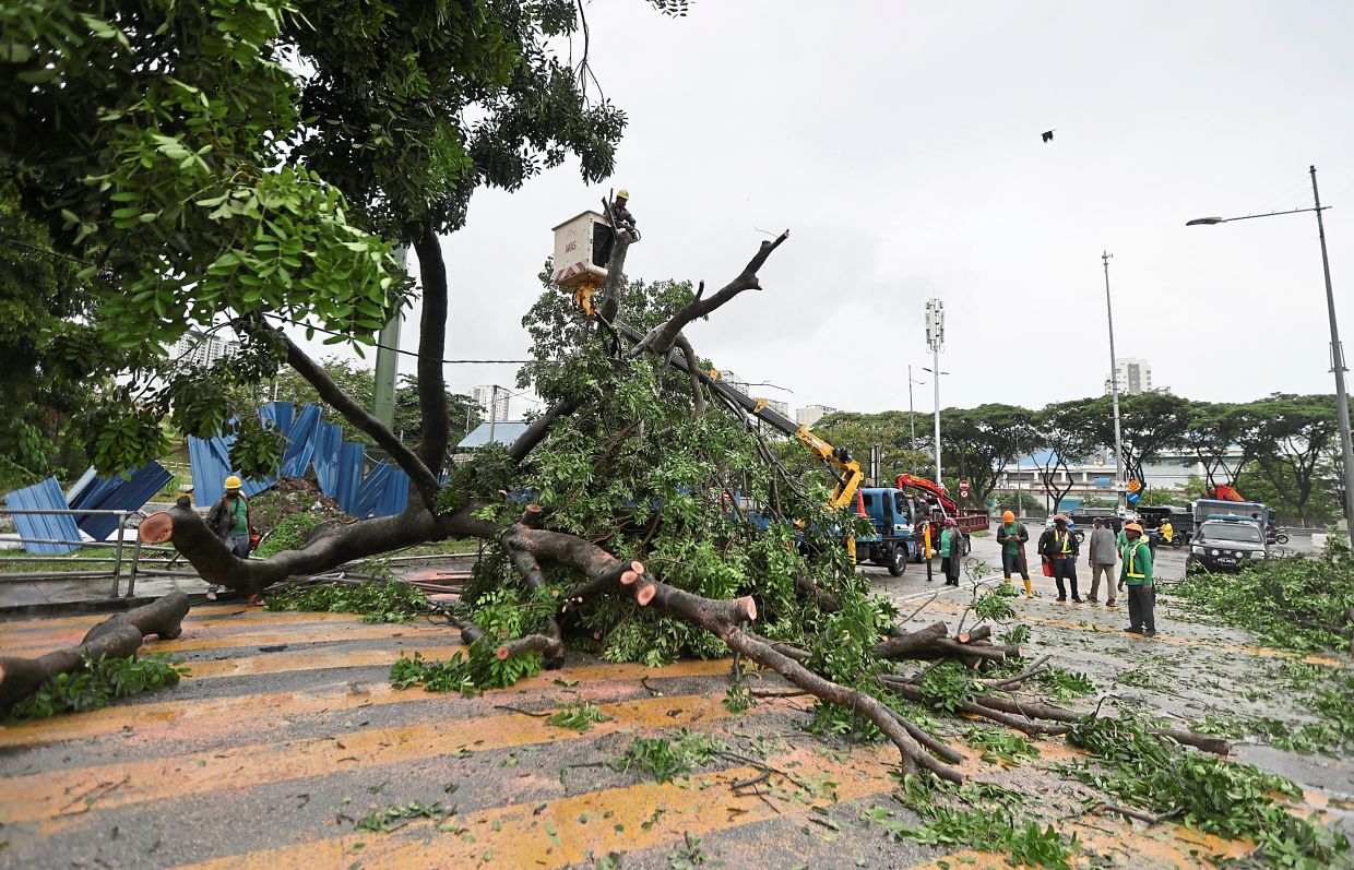Storm havoc: MBPP response team clearing fallen trees at Jalan Perusahaan Jelutung. —ZHAFARAN NASIB/The Star