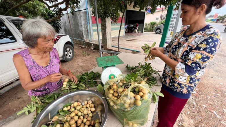 Cambodia's longan sales to China set for 'five-fold' hike: insider - Vimarsana News